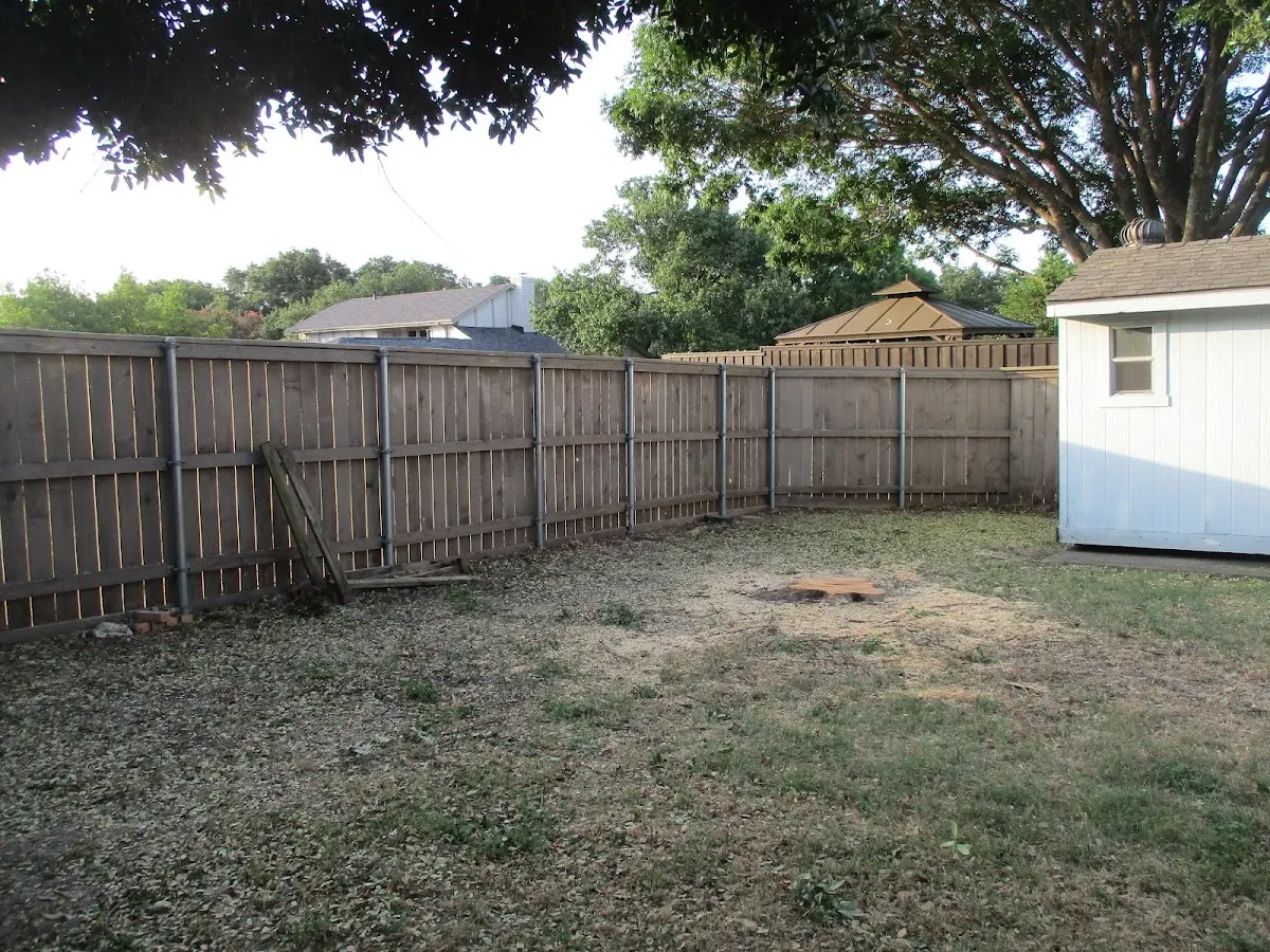 Cleared yard after professional tree removal in State College